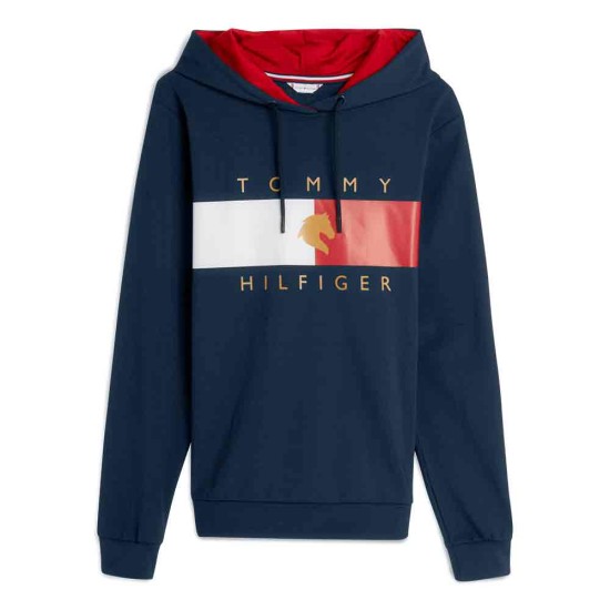 Tommy hilfiger flag on sale hoodie